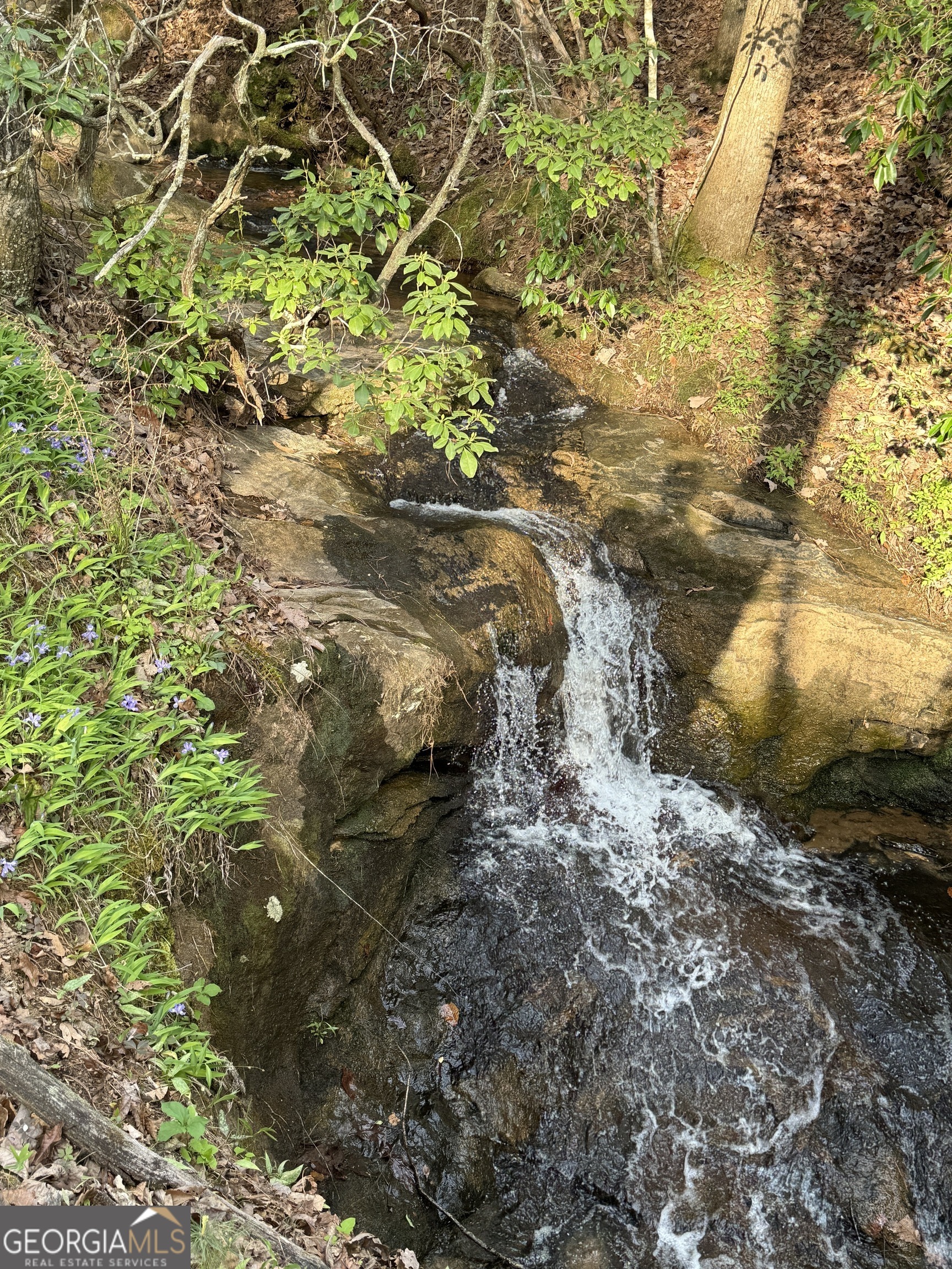 1632 Sperin Road Ball Ground, GA 30107 - Photo 4 of 7 a view of a yard