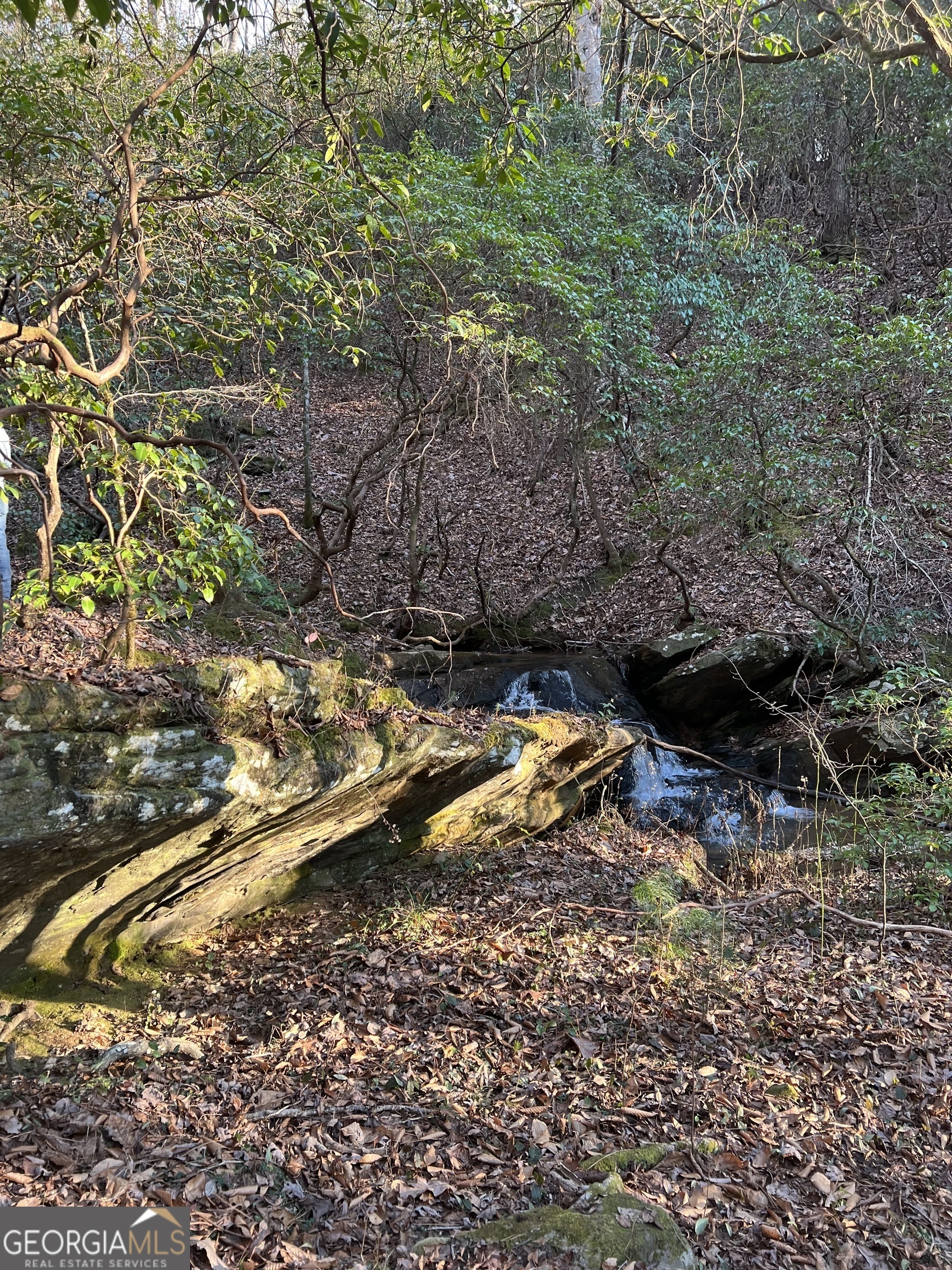 1632 Sperin Road Ball Ground, GA 30107 - Photo 7 of 8 a view of a small yard with wooden fence