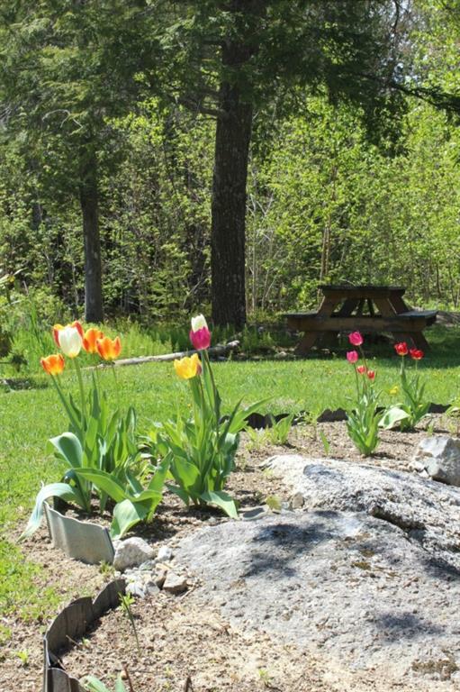 105 Dogtown Road Penobscot, ME 04476 - Photo 18 of 33 Photo