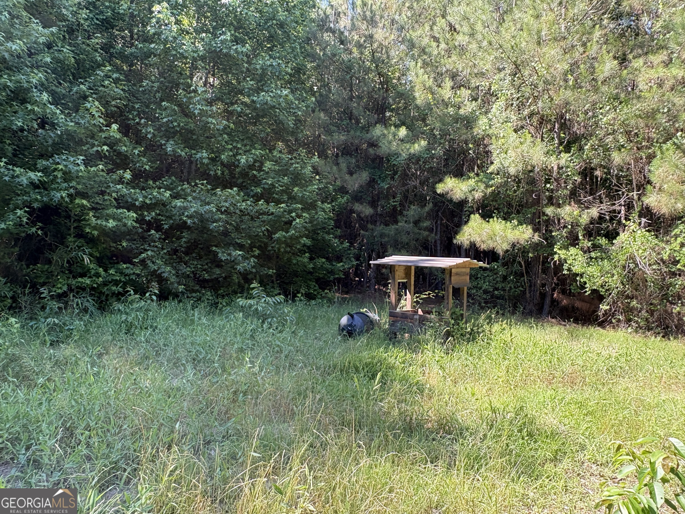 L9 North Indian Trail Road Sandersville, GA 31082 - Photo 6 of 19