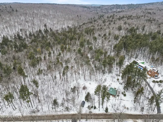 a view of a dry yard with lots of trees