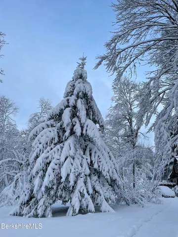 a view of a fire pit with large trees