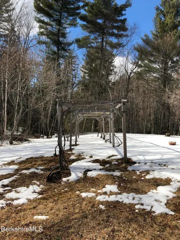 a view of a dry yard with trees