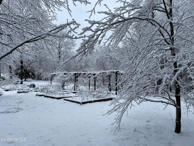 a view of a back yard