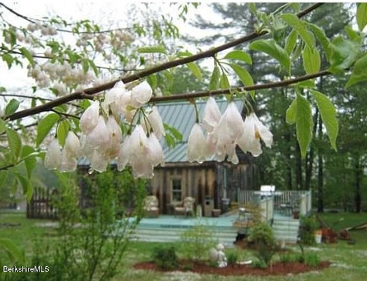 13 Jordan Road Cummington, MA 01026 - Photo 42 of 51 Wisteria