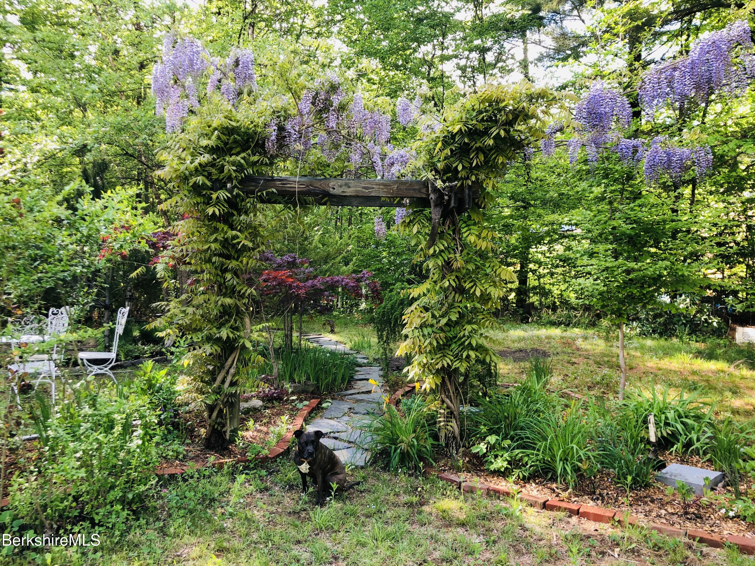 13 Jordan Road Cummington, MA 01026 - Photo 44 of 51 Wisteria