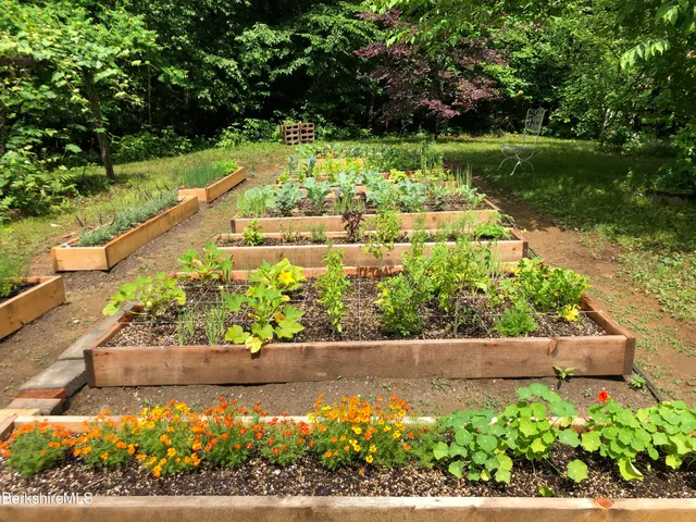 a view of a backyard of a house
