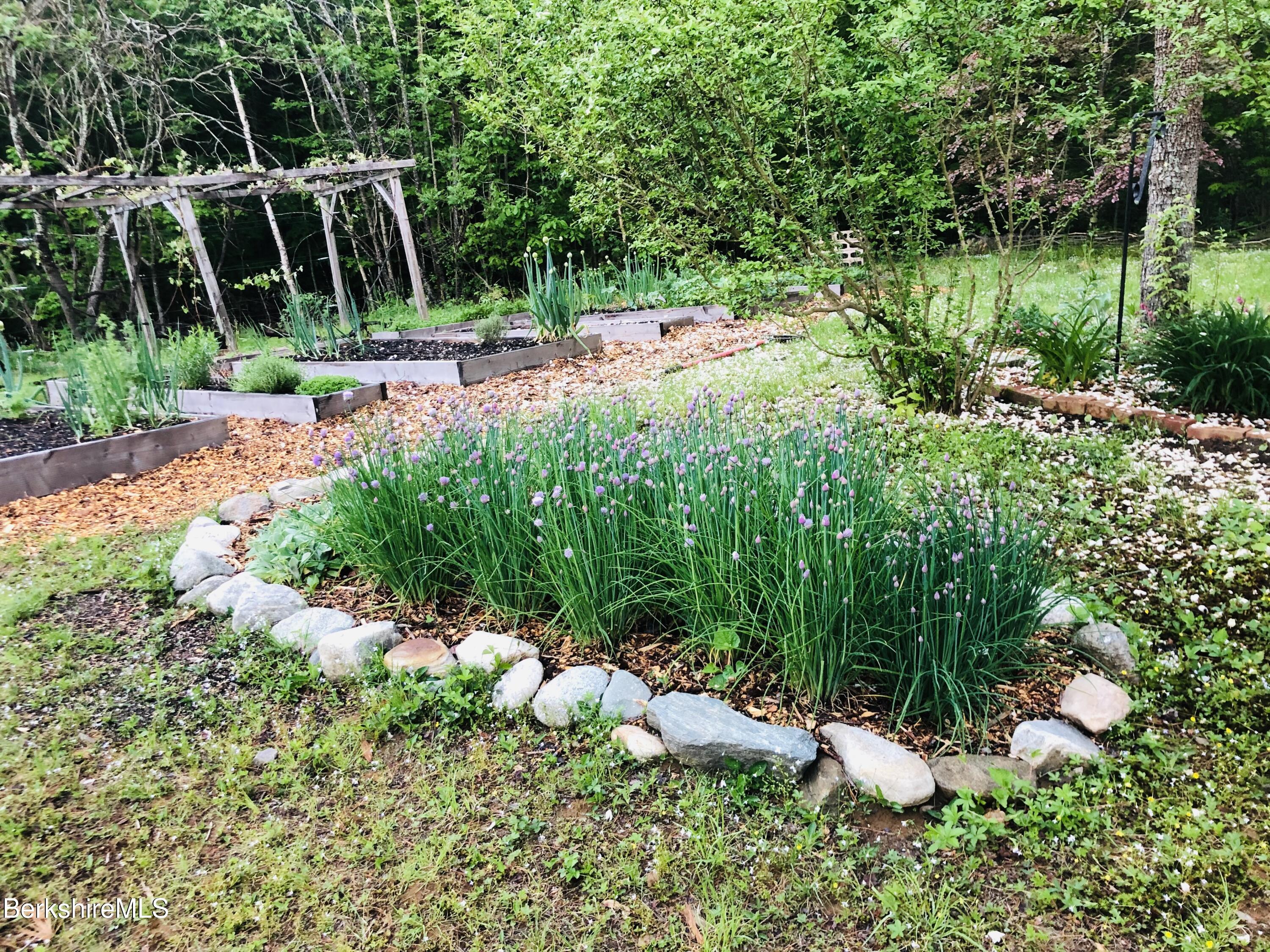 13 Jordan Road Cummington, MA 01026 - Photo 51 of 51 Summer Garden