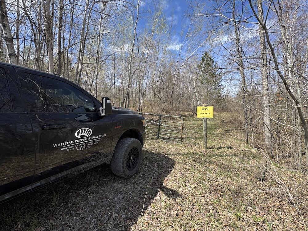 Vl Curtisville Road Mio, MI 48647 - Photo 23 of 141 IMG_2246