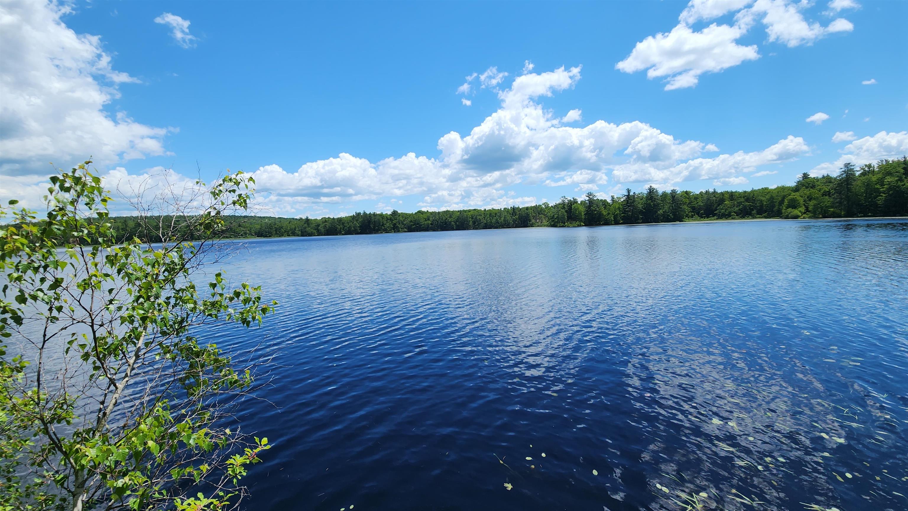 36 Johnson Road Fitzwilliam, NH 03447 - Photo 4 of 54