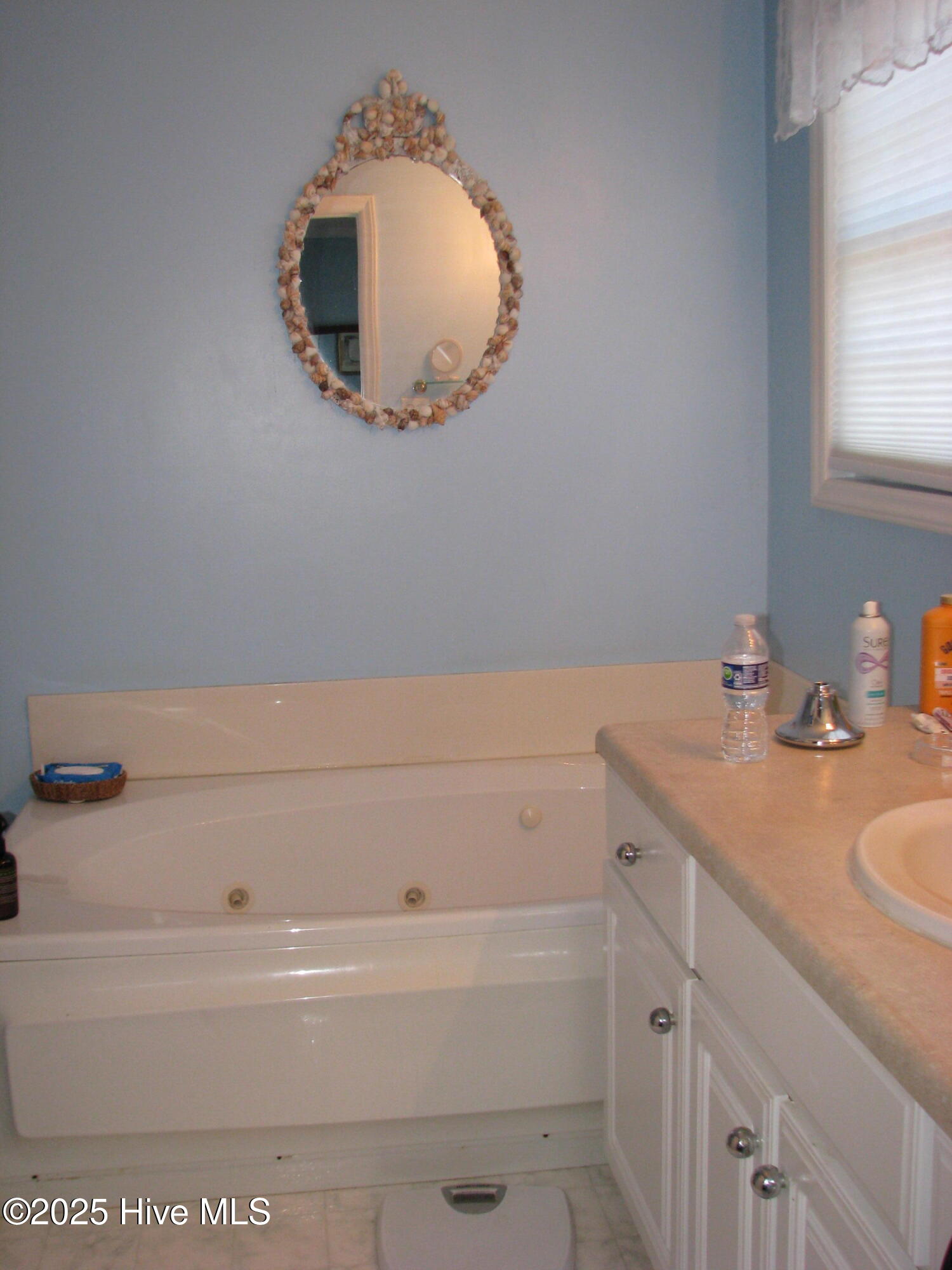 106 Golf Road Plymouth, NC 27962 - Photo 16 of 32 Primary bath - note jetted tub