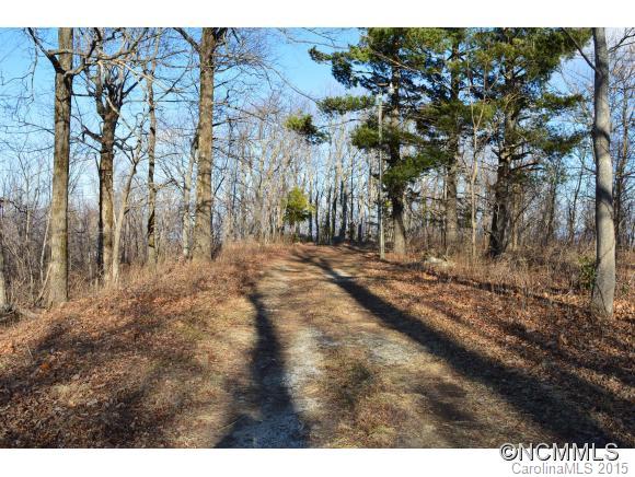 0 Summit Road, Unit 322 323 324 2 Tryon, NC 28782 - Photo 2 of 9