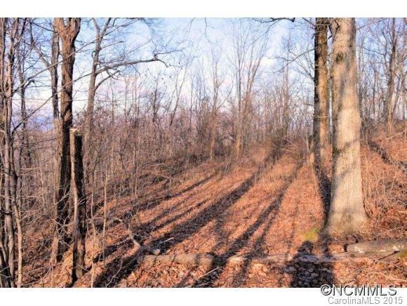 0 Summit Road, Unit 322 323 324 2 Tryon, NC 28782 - Photo 3 of 9