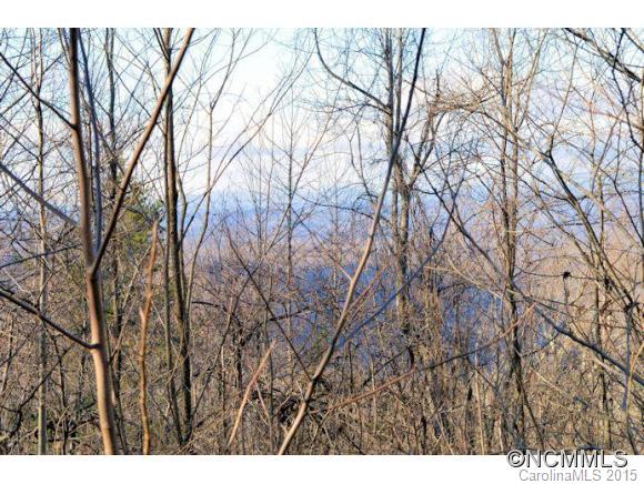 0 Summit Road, Unit 322 323 324 2 Tryon, NC 28782 - Photo 4 of 9