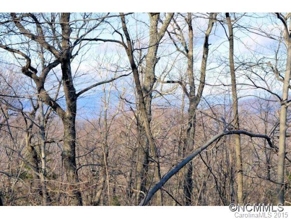 0 Summit Road, Unit 322 323 324 2 Tryon, NC 28782 - Photo 6 of 9