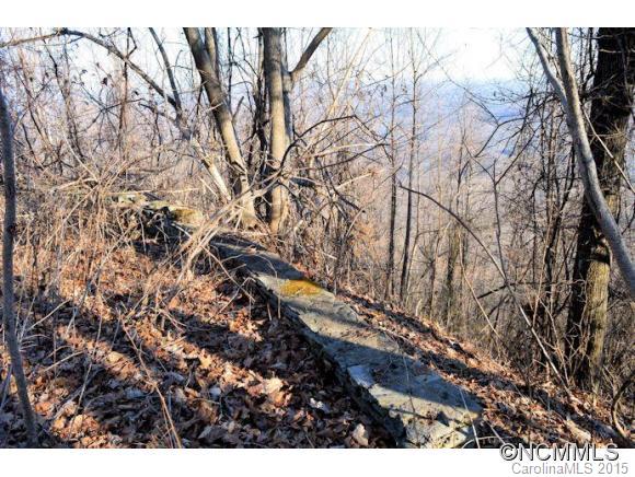 0 Summit Road, Unit 322 323 324 2 Tryon, NC 28782 - Photo 8 of 9