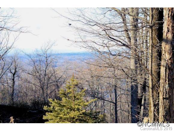 0 Summit Road, Unit 322 323 324 2 Tryon, NC 28782 - Photo 9 of 9