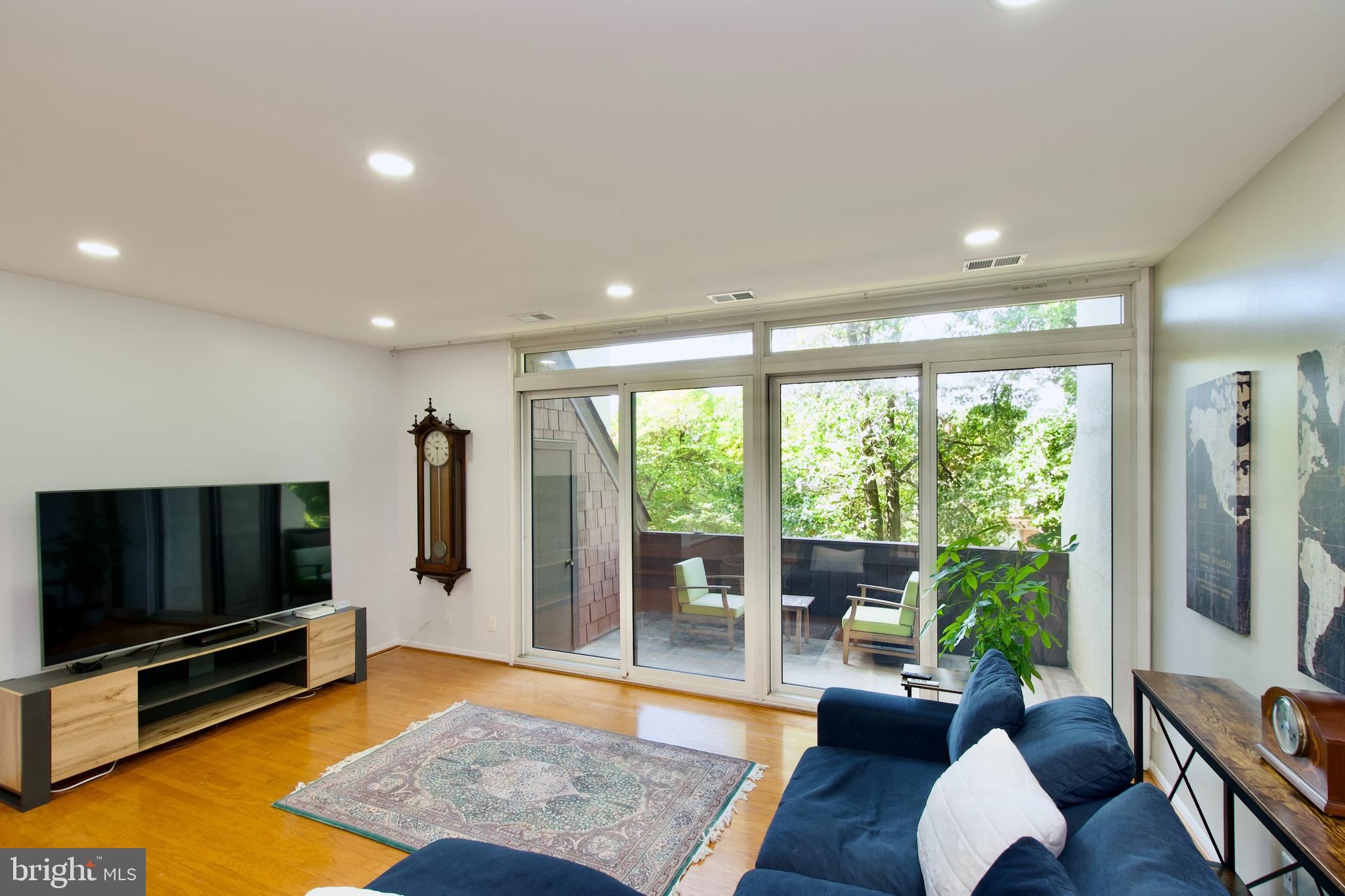 2204 South Quincy Street, Unit 1 Arlington, VA 22204 - Photo 12 of 29 Living room