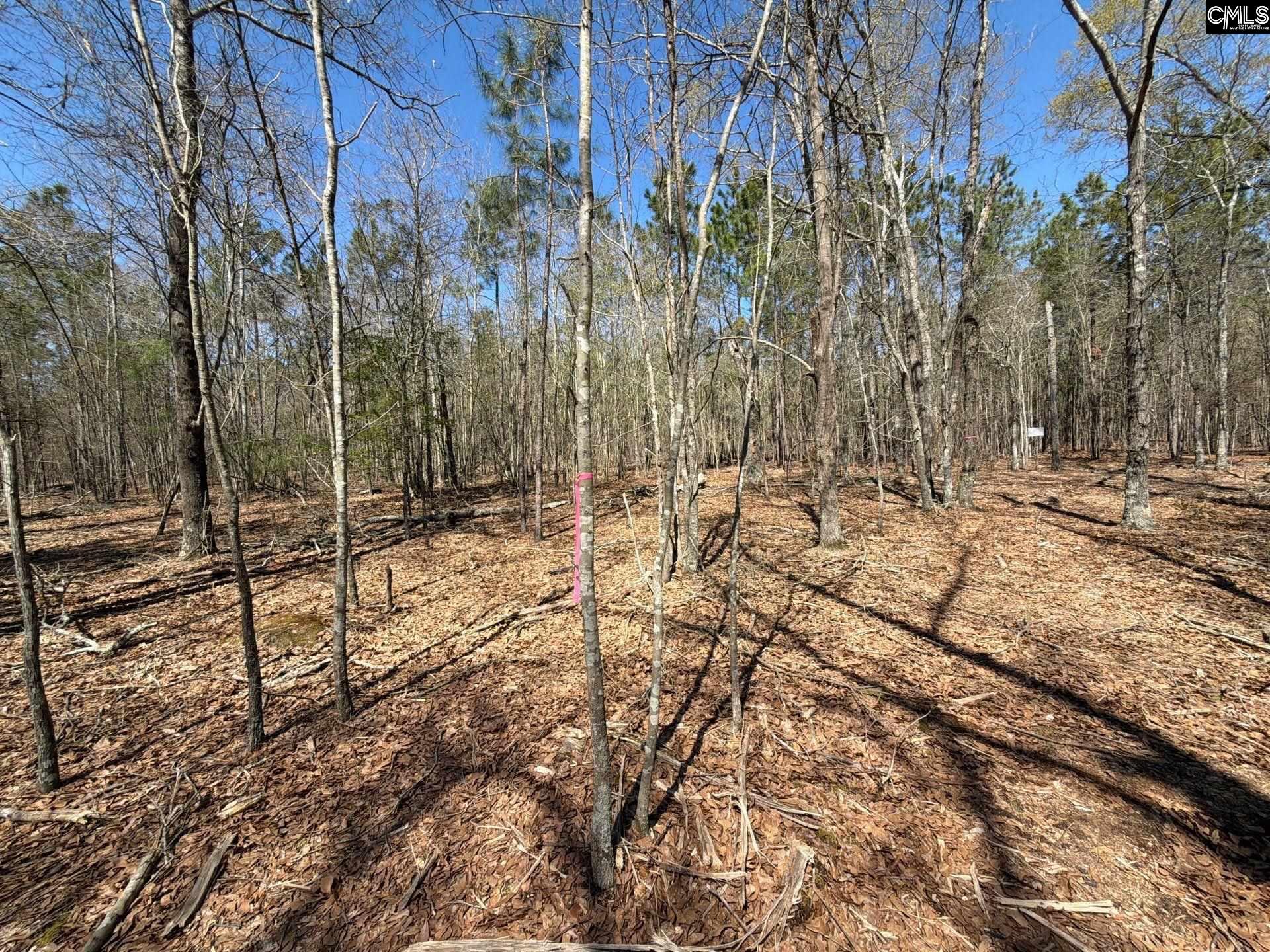 9 Boise Cascade Road, Unit BHL 9 Bethune, SC 29009 - Photo 18 of 44
