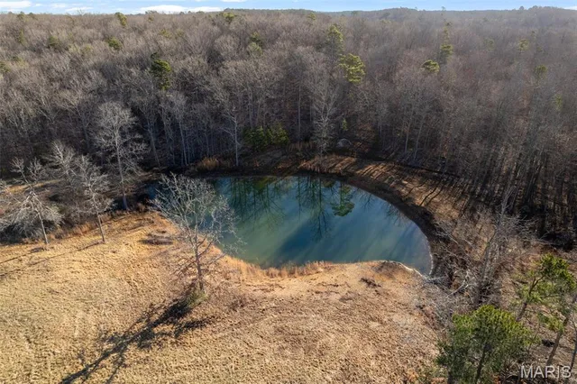 $325,000 | 29118 Bcr 862, Marquand, MO 63655