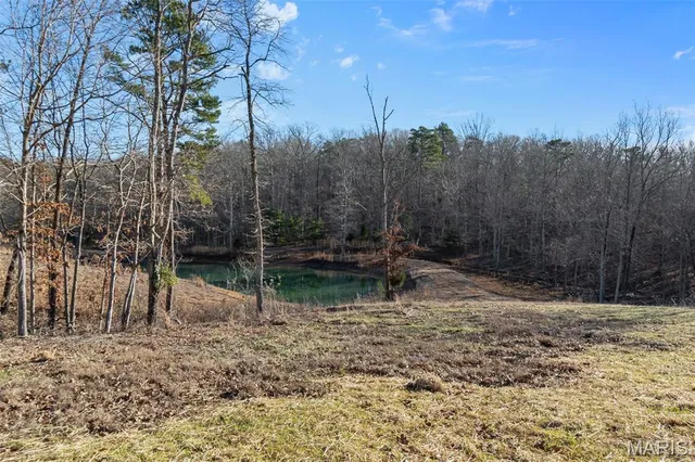 $325,000 | 29118 Bcr 862, Marquand, MO 63655