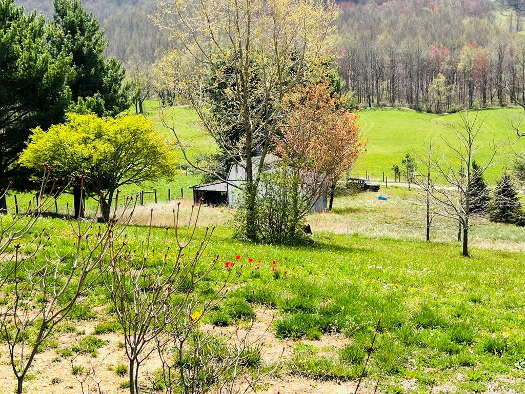 509 Tacoma Road Tazewell, VA 24651 - Photo 30 of 44 Gallery Image 30