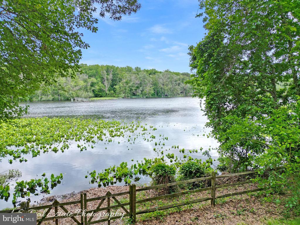 30833 Dogwood Drive Laurel, DE 19956 - Photo 4 of 27 a view of a garden with a lot of plants and trees