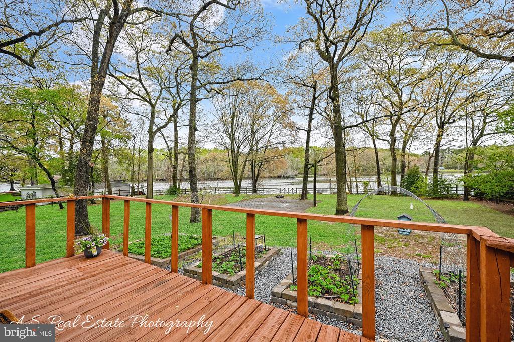 30833 Dogwood Drive Laurel, DE 19956 - Photo 9 of 27 a view of a house with large trees and a patio