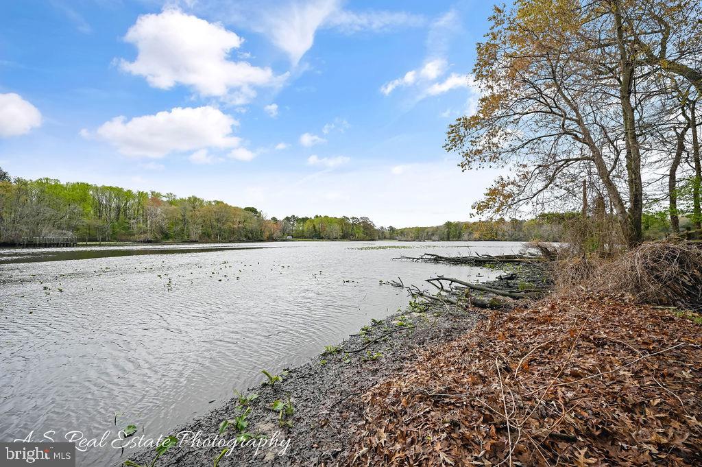 30833 Dogwood Drive Laurel, DE 19956 - Photo 10 of 27 a view of lake with mountain in background