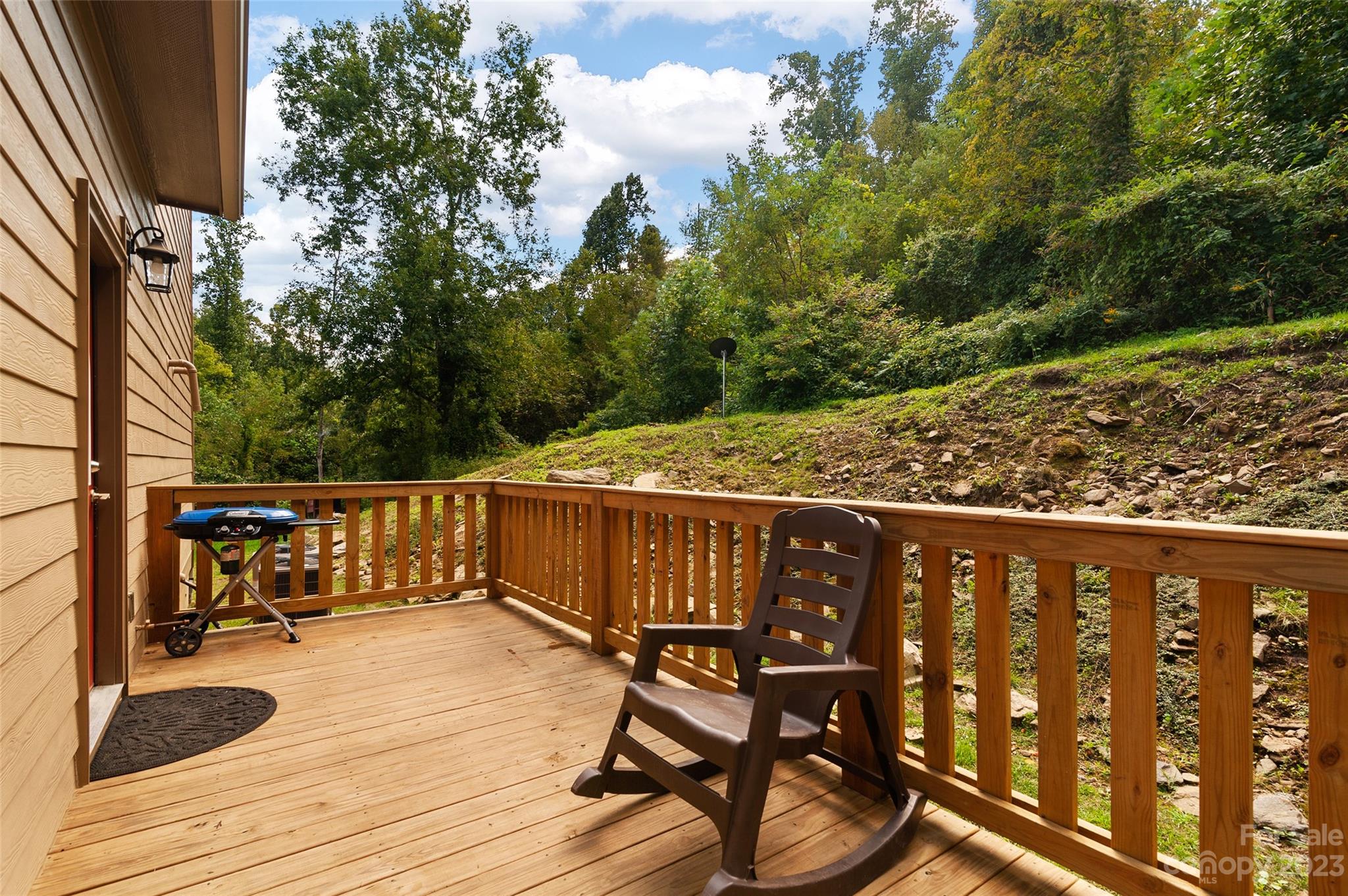 15550 Cruso Road Canton, NC 28716 - Photo 18 of 41 Gallery Image 18
