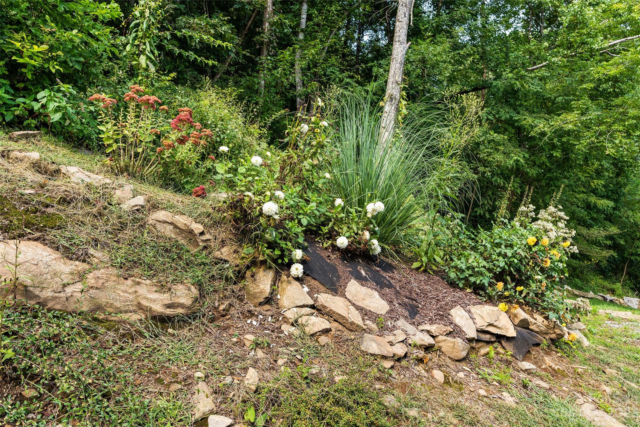 15550 Cruso Road Canton, NC 28716 - Photo 35 of 41 Gallery Image 35