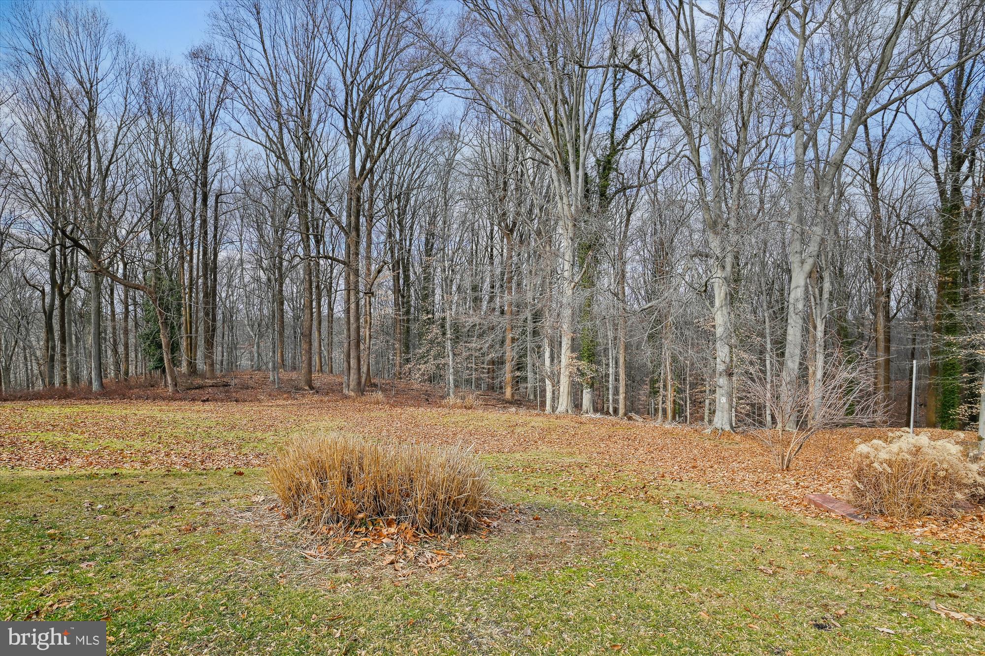 614 Gun Halethorpe, MD 21227 - Photo 58 of 98 View