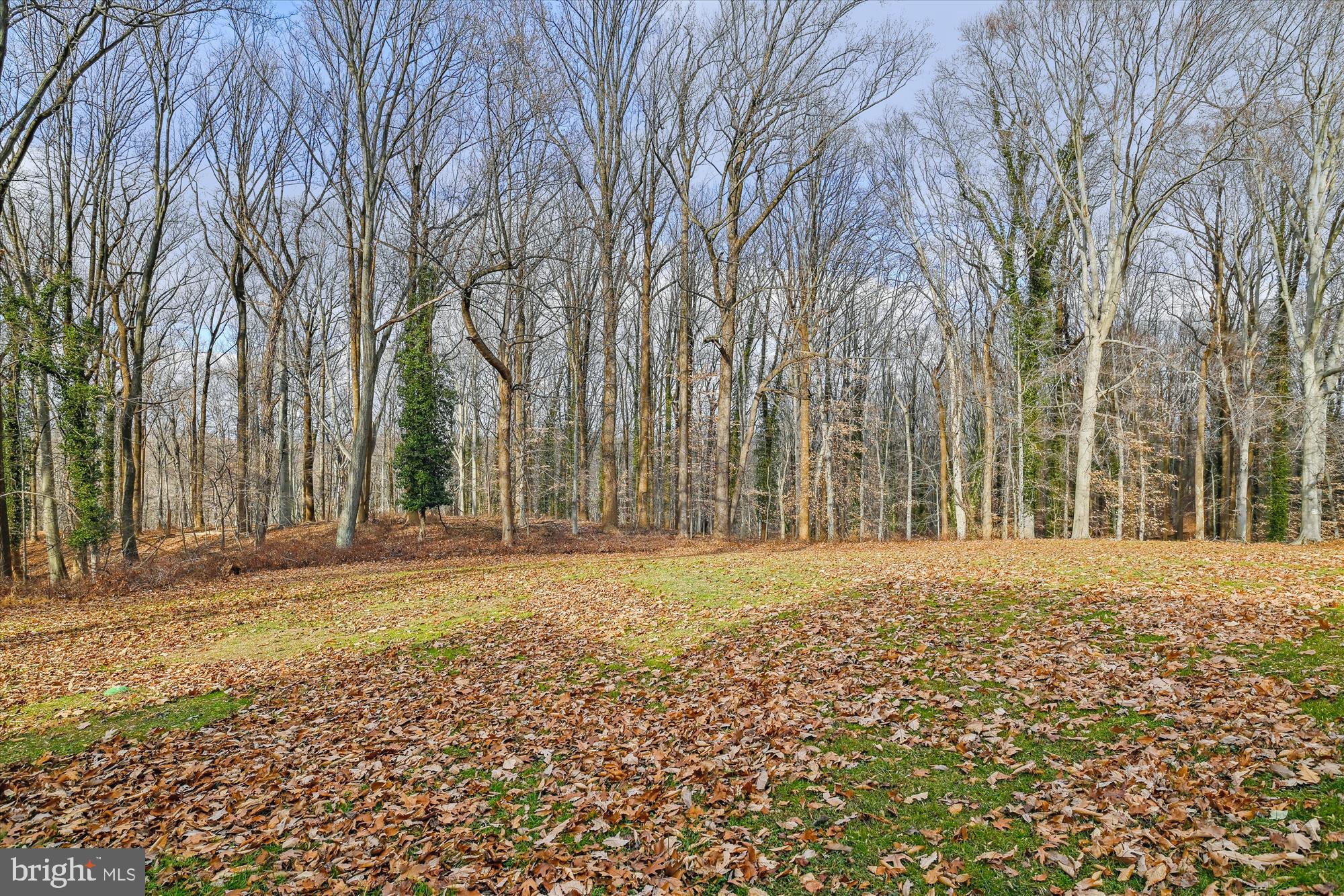 614 Gun Halethorpe, MD 21227 - Photo 91 of 98 View from Carriage House
