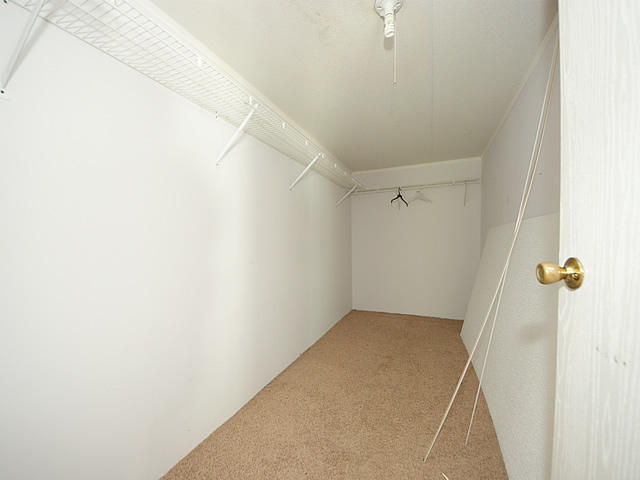 3184 Sanders Road Charleston, SC 29414 - Photo 14 of 17 3184 walkin