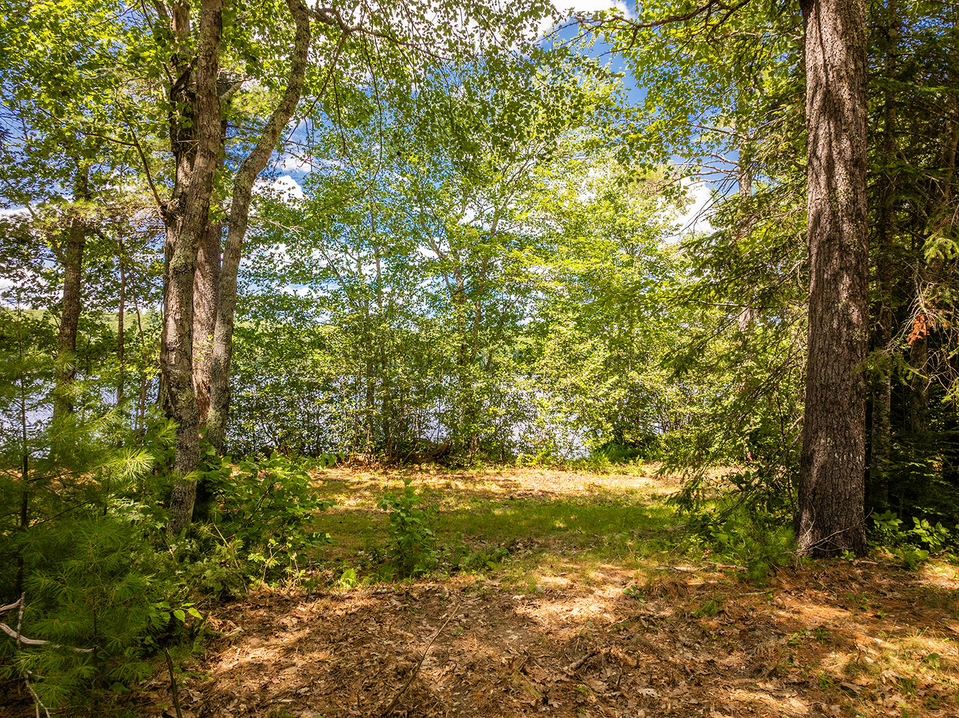Lot 2 Aldus Shores Road Searsmont, ME 04973 - Photo 6 of 14