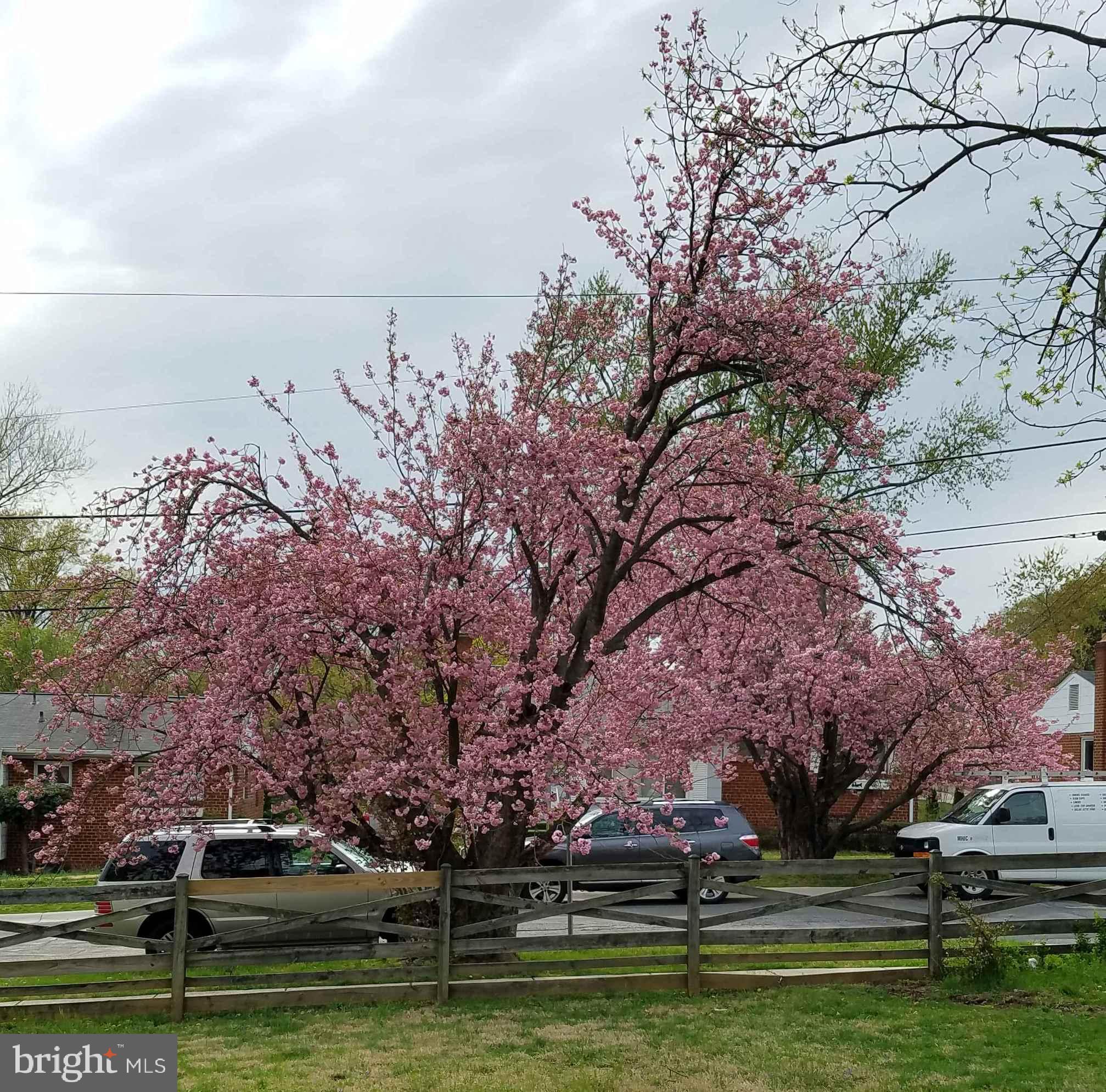 11817 Indigo Road Silver Spring, MD 20906 - Photo 32 of 35