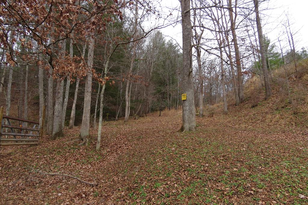 Tbd Pridemoore Road, Unit 2 Galax, VA 24333 - Photo 66 of 72 Gallery Image 66