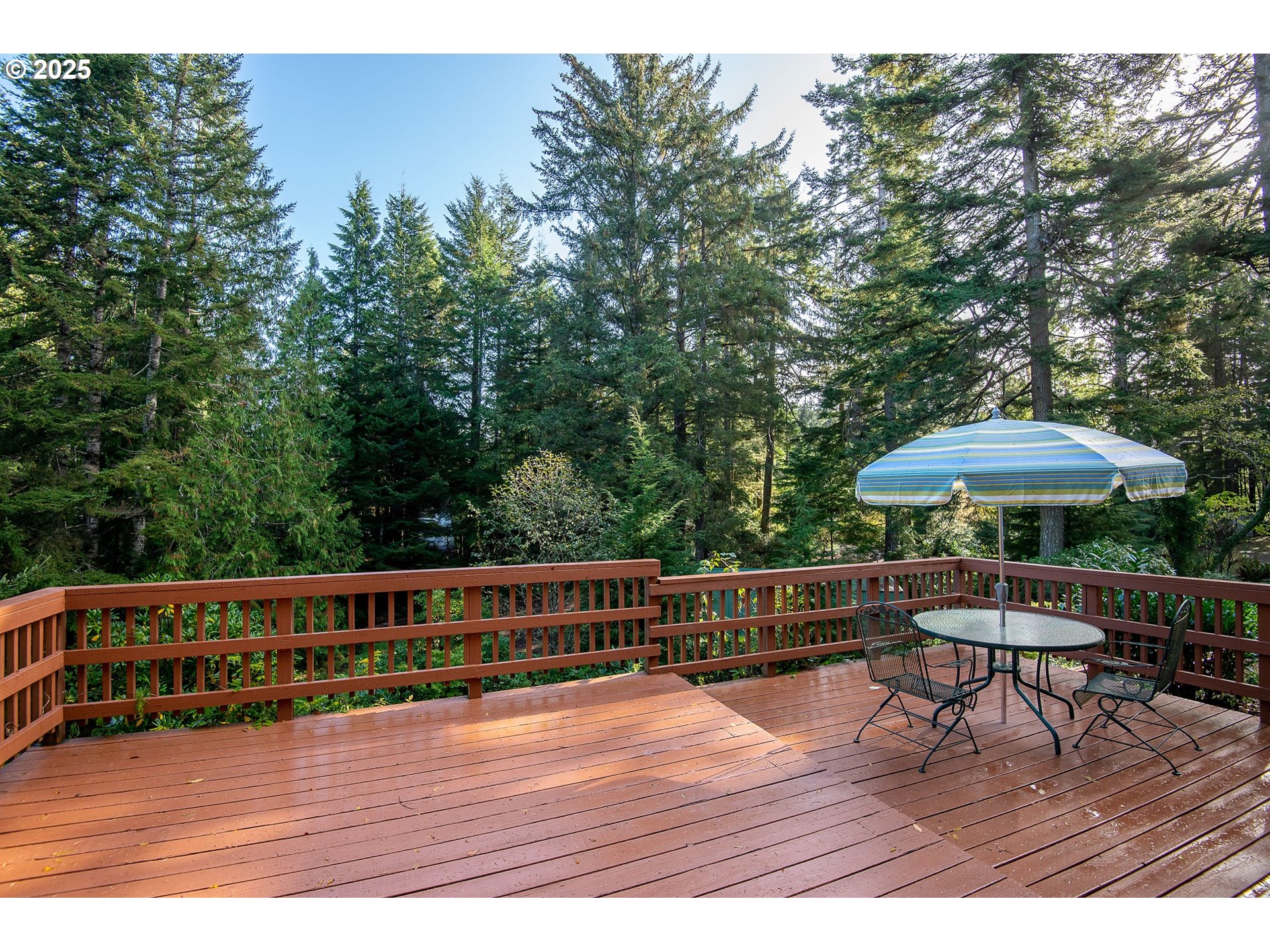 5001 Ford Way Florence, OR 97439 - Photo 43 of 48 a view of backyard with seating space and trees in the background