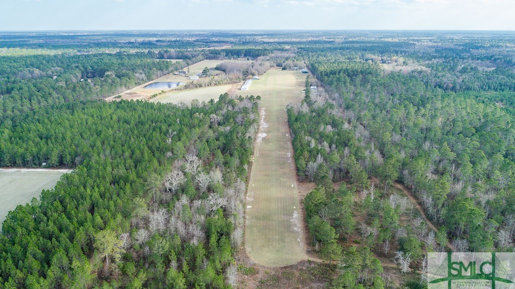 535 Green Morgan School Road Clyo, GA 31303 - Photo 3 of 40 Aerial view