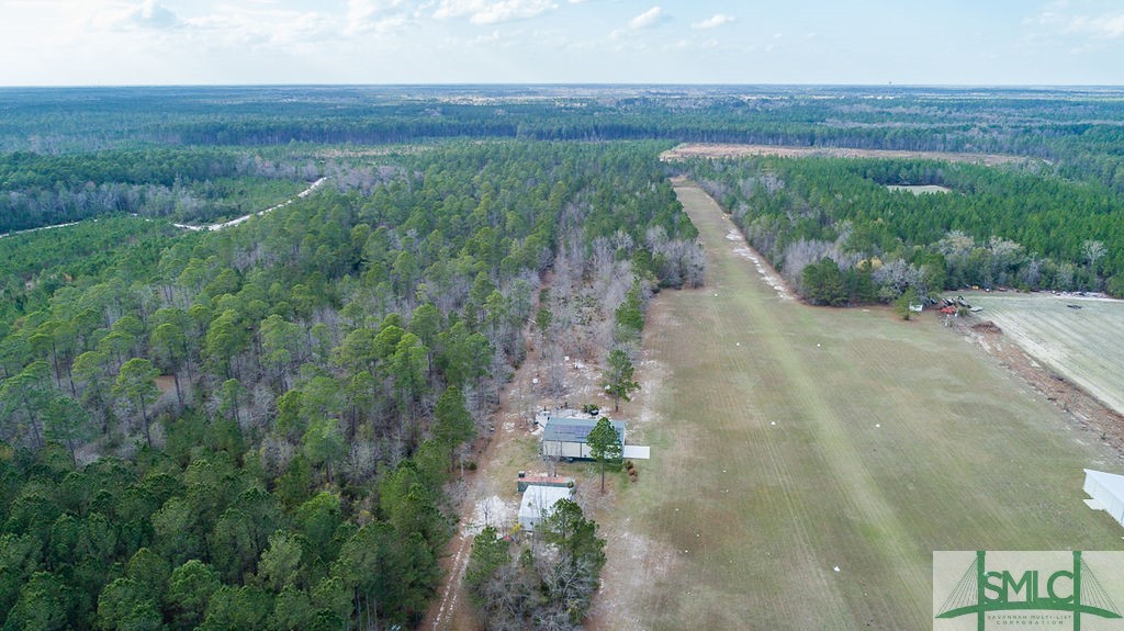 535 Green Morgan School Road Clyo, GA 31303 - Photo 32 of 40