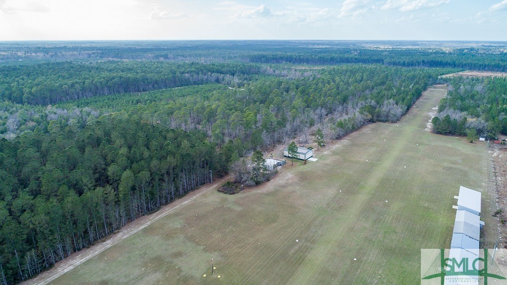 535 Green Morgan School Road Clyo, GA 31303 - Photo 33 of 40