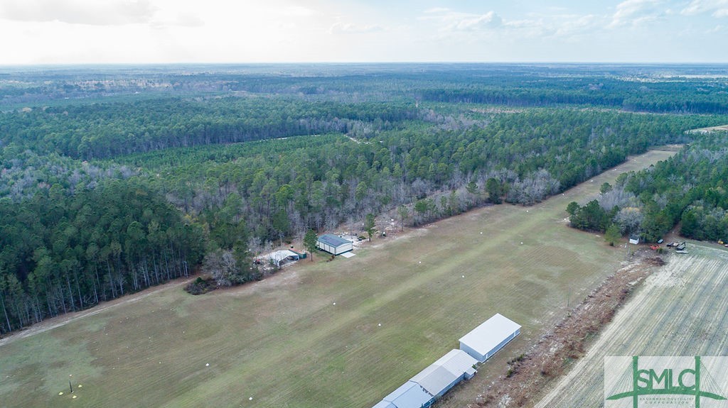 535 Green Morgan School Road Clyo, GA 31303 - Photo 34 of 40