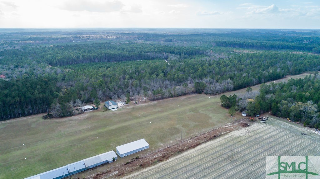 535 Green Morgan School Road Clyo, GA 31303 - Photo 35 of 40