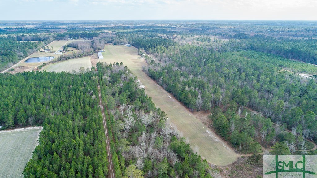 535 Green Morgan School Road Clyo, GA 31303 - Photo 38 of 40