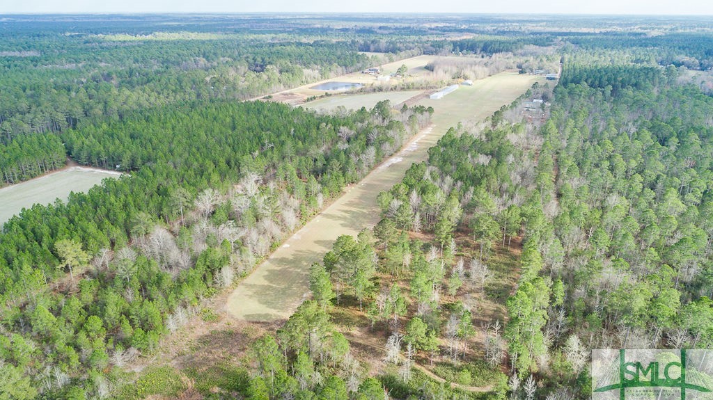 535 Green Morgan School Road Clyo, GA 31303 - Photo 39 of 40