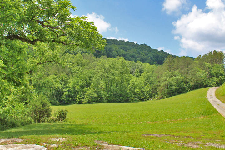 895 John Hyden Road Burnside, KY 42519 - Photo 17 of 61 IMG_8388
