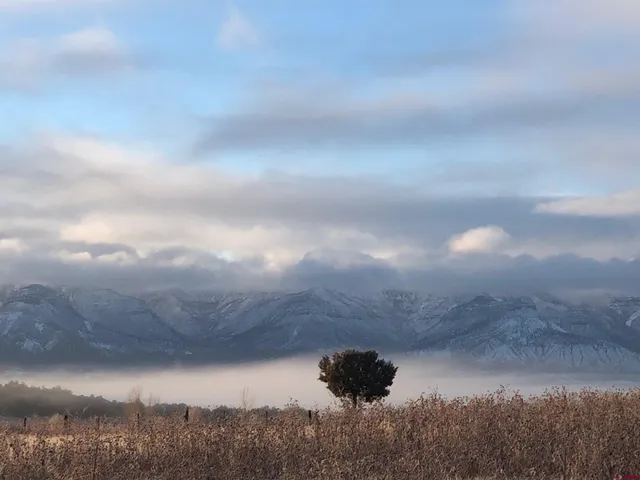 a view of lake with green space