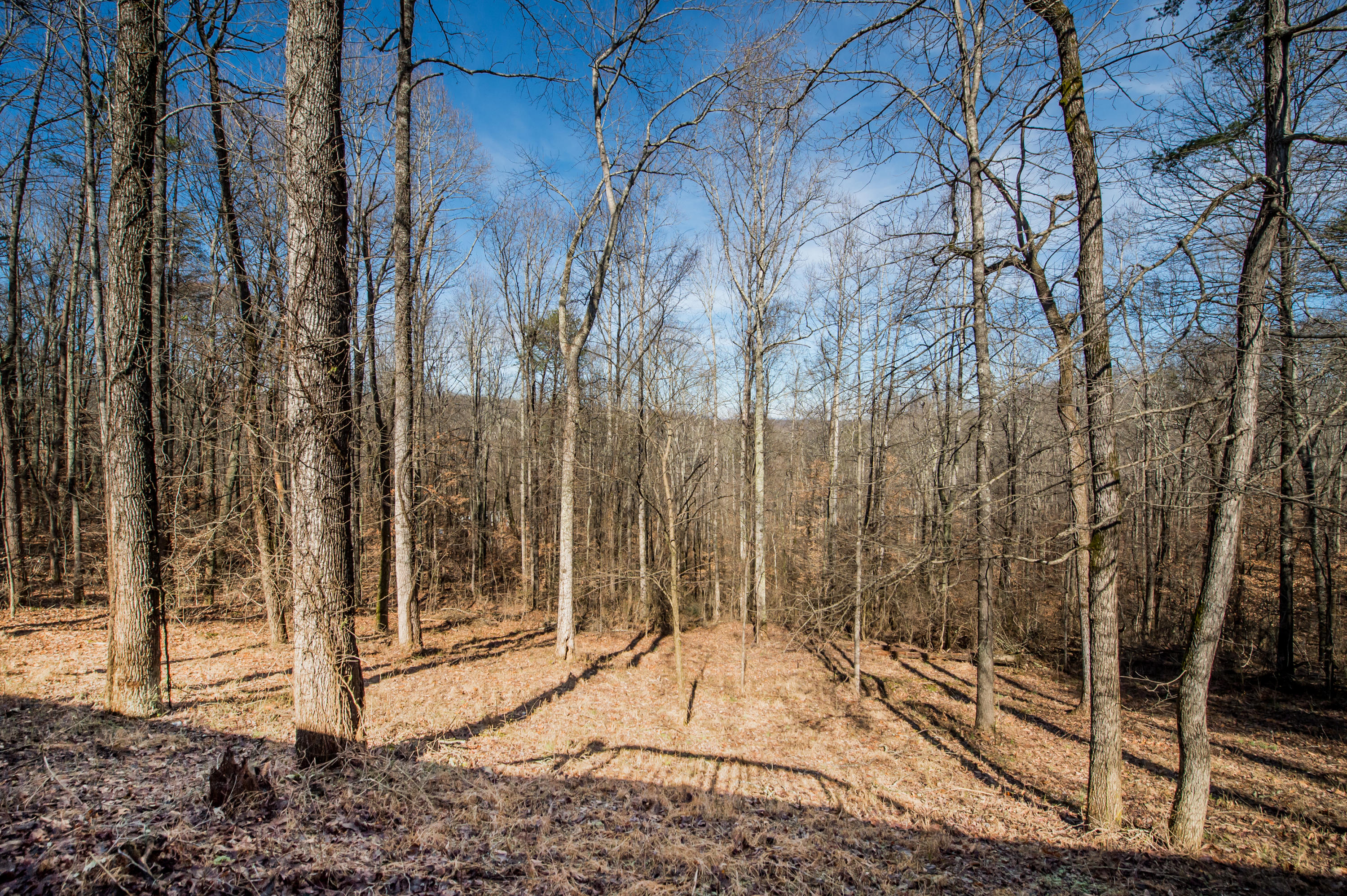 6505 Cate Road Powell, TN 37849 - Photo 22 of 23 HOB_0867
