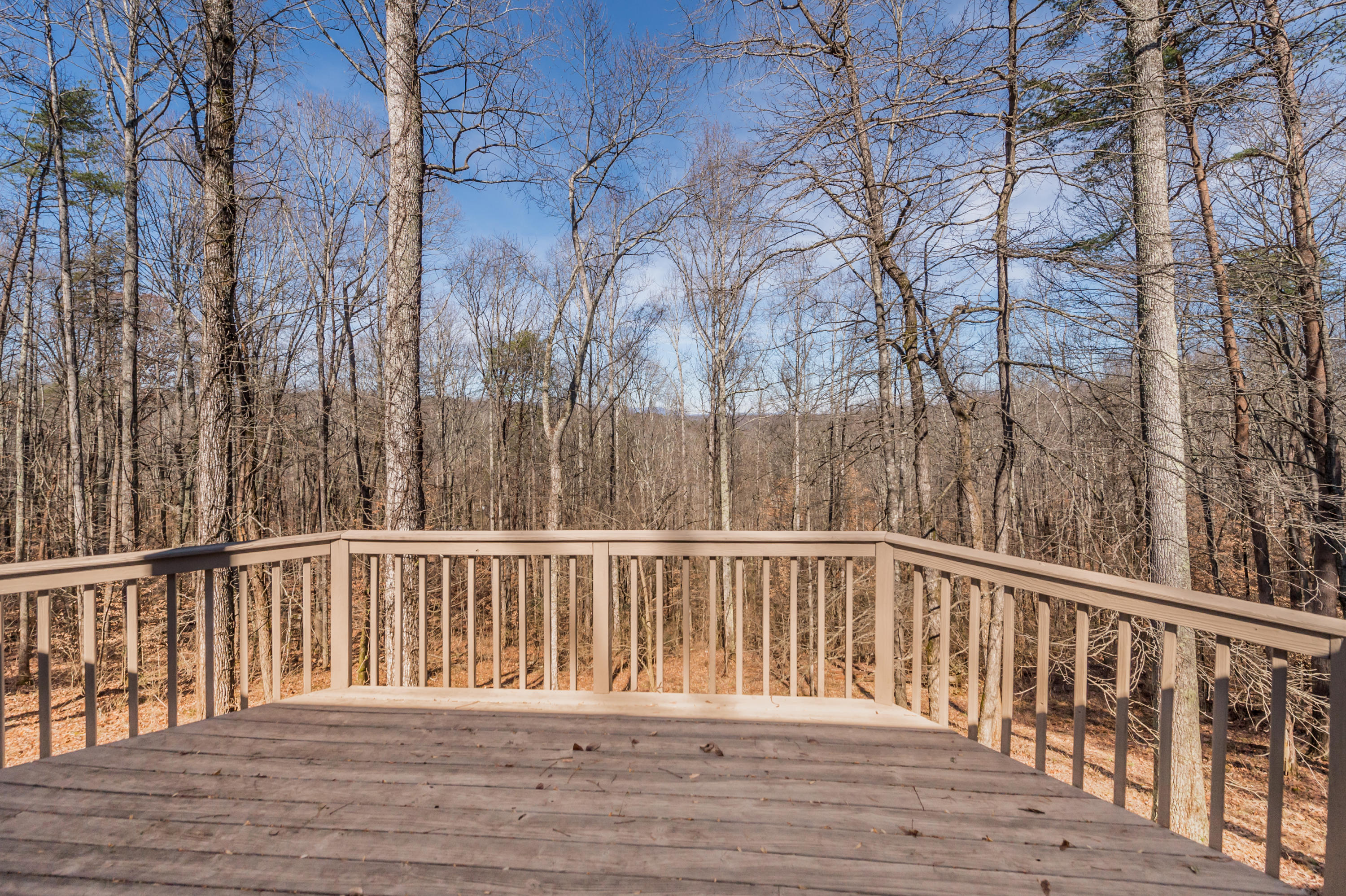 6505 Cate Road Powell, TN 37849 - Photo 23 of 23 HOB_0880