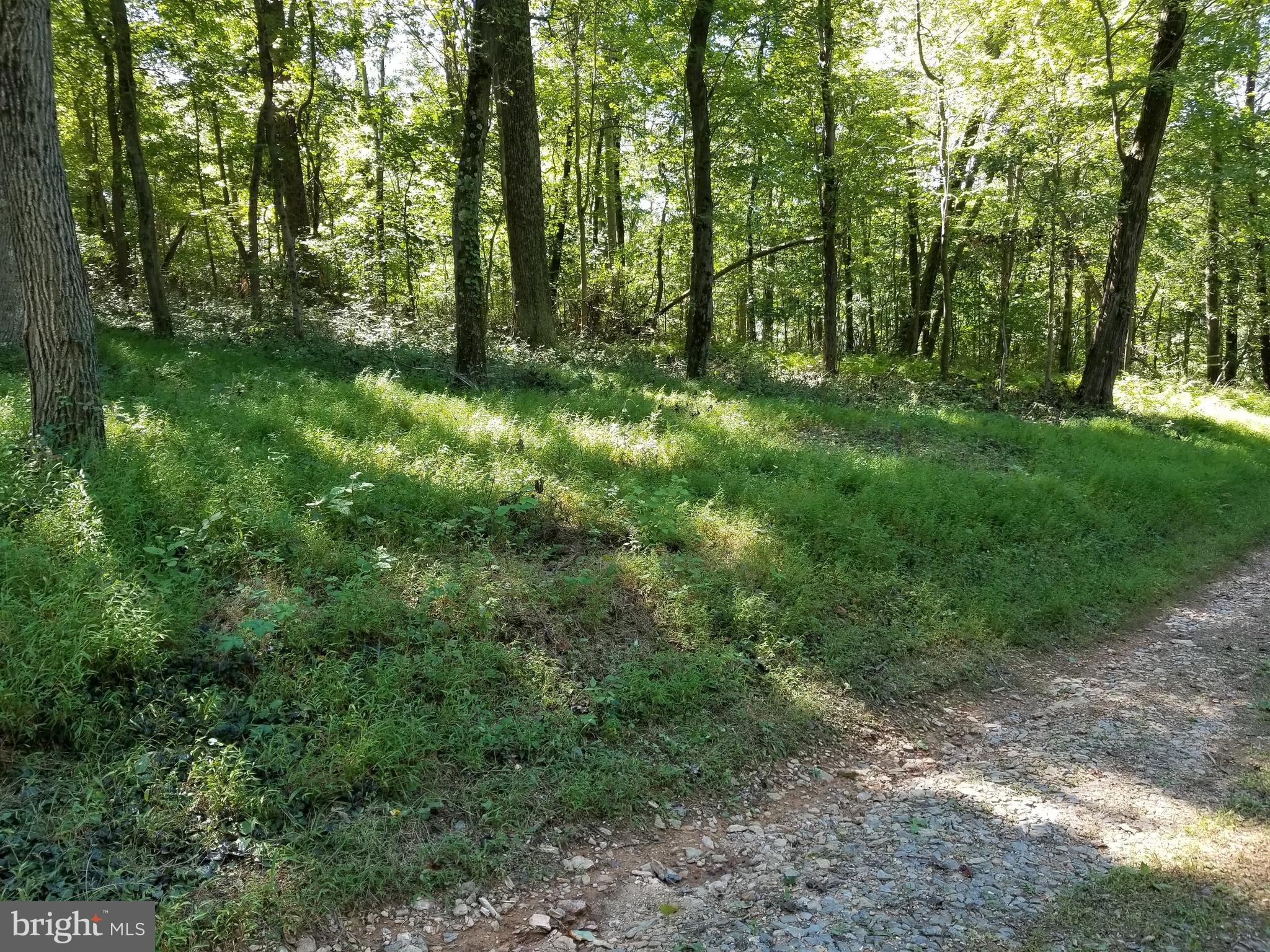7736 Talbot Run Road Mount Airy, MD 21771 - Photo 1 of 10 Welcome to Lot 1 Soloman's Maze